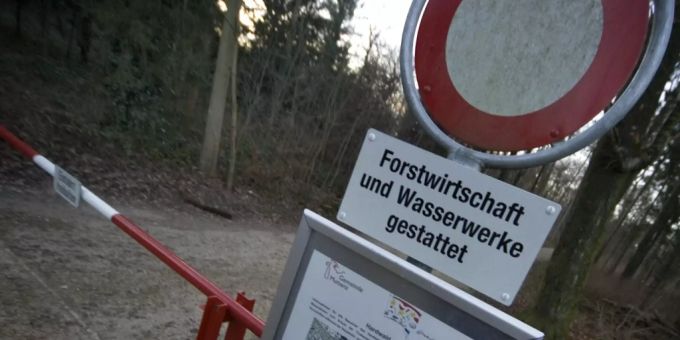 Hardwald in Muttenz BL. hardwald