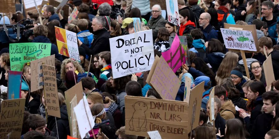 Klimastreik Demo