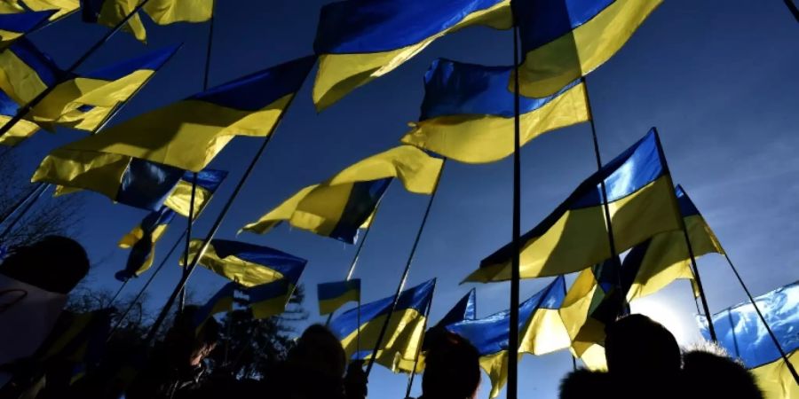 Ukrainische Flaggen