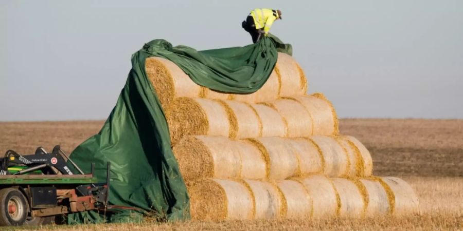 Strohballen auf einem Feld