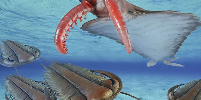 So sah es vermutlich vor einer halben Milliarde Jahre aus, wenn die Urzeit-Garnele Anomalocaris Paradoxides-Trilobiten jagte. Das Sauriermuseum Aathal widmet den ausgestorbenen Gliederfüssern seine neue Sonderausstellung. So sah es vermutlich vor einer halben Milliarde Jahre aus, wenn die Urzeit-Garnele Anomalocaris Paradoxides-Trilobiten jagte. Das Sauriermuseum Aathal widmet den ausgestorbenen Gliederfüssern seine neue Sonderausstellung.