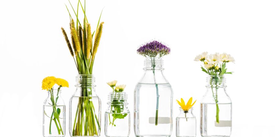 Blumenvasen, Gläser, Blumen, Kräuter