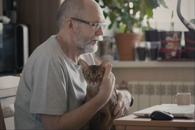 Das Streicheln von Katzen trägt zur Entspannung bei. Katze, Büro, Mann, streicheln