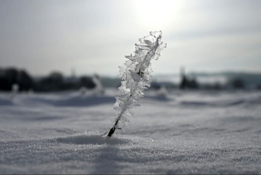 Auch am Samstag dürfte es mit Schnee im Flachland weitergehen - es bleibt ausserdem ganz frostig.