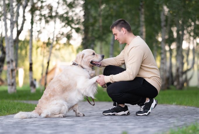 Parks oder Hundespielwiesen bieten auch in städtischen Gebieten viele Auslaufmöglichkeiten. Hund mit Herrchen