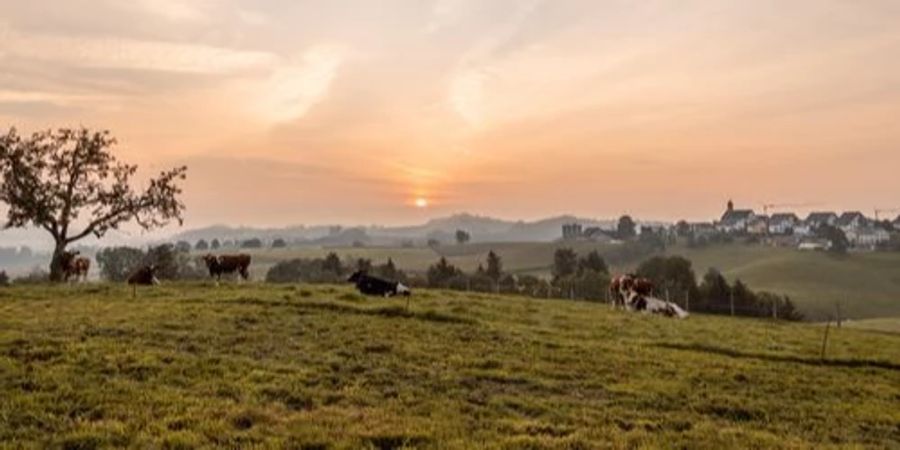 Landschaftsbild Ufhusen