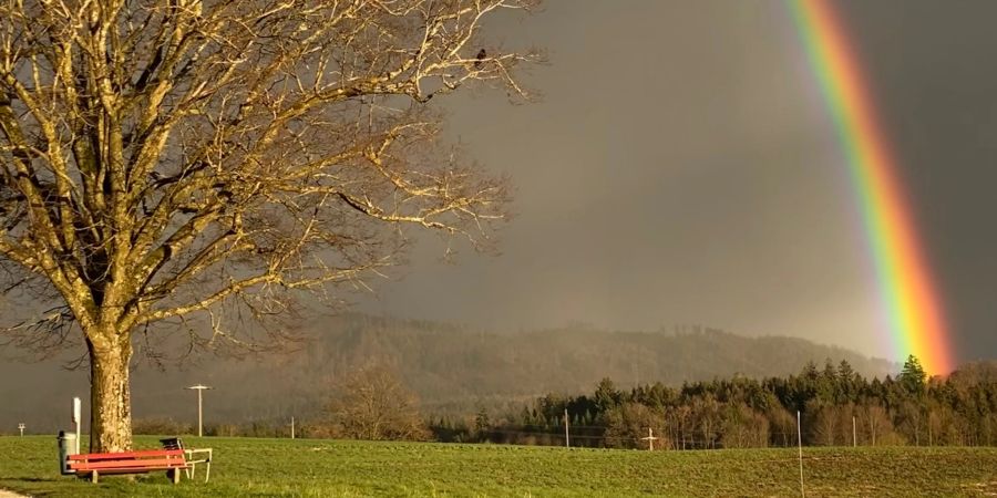 Regenbogen