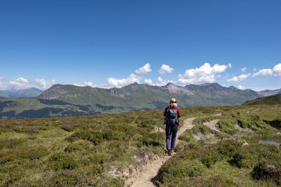 Forschende sind in den Bündner Alpen auf plastikfressende Bakterien und Pilze gestossen. (Symbolbild)