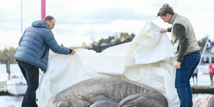 Die Skulptur der Künstlerin Tonoian zum Gedenken an das Walross Freya wird von Walross-Experte Rune Aae (l) und Initiator Erik Holm in der Kongen Marina enthüllt.