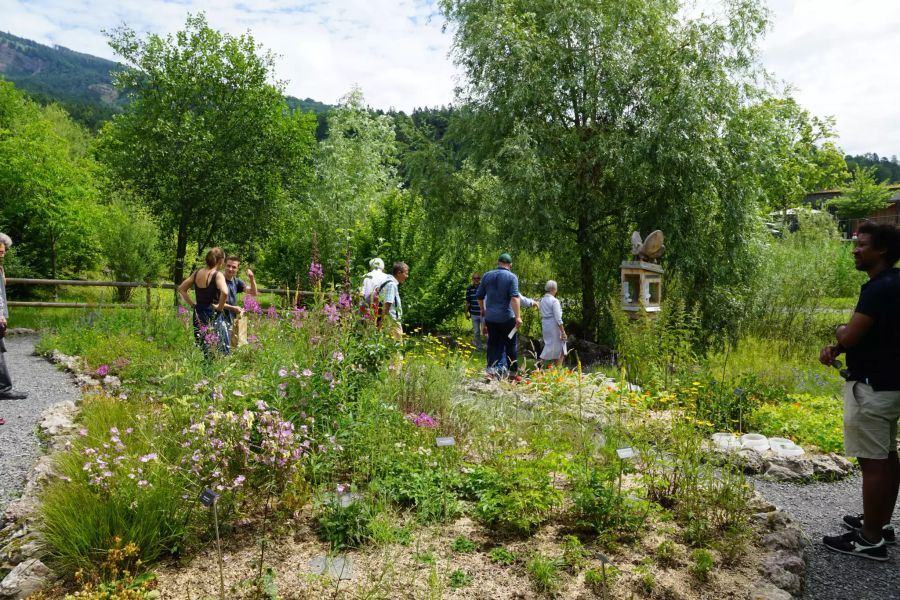 Der Schmetterlingsgarten wurde bereits 2019 eröffnet und ist eine weitere Station auf dem Insektenpfad.