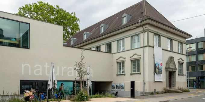 Kultur - Museum Naturama verlängert die Ausstellung «Respekt, Insekt!»