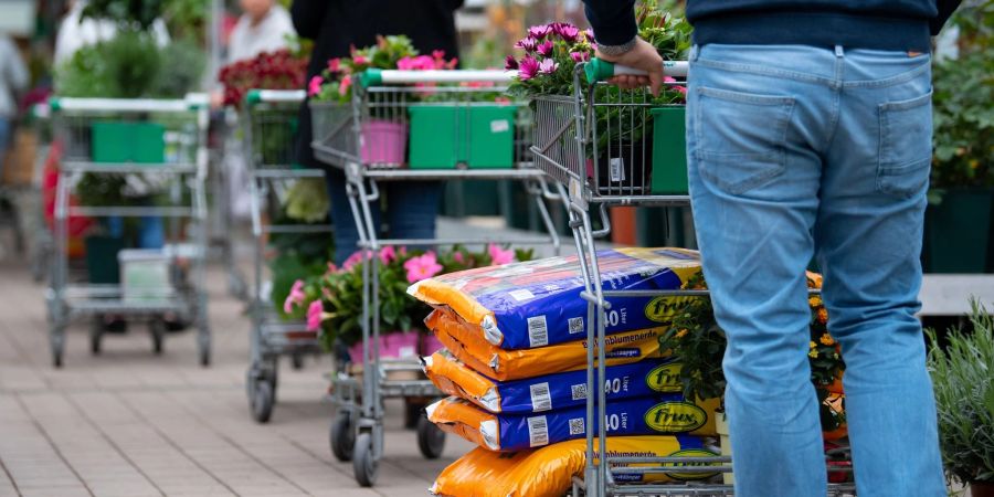 Zeit für die Einkäufe: Die botanischen Namen können Hobbygärtnern gute Hinweise auf die Eigenschaften der Pflanzen liefern.