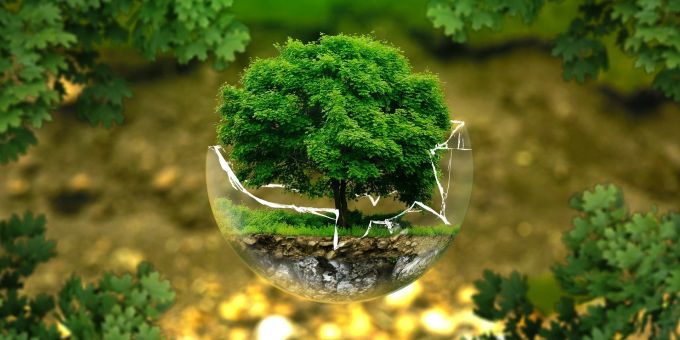 Die Umwelt wird gefährdet (Symbolbild). Ökologie