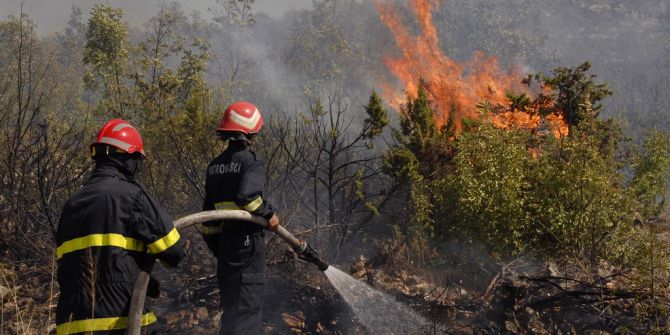 Waldbrand