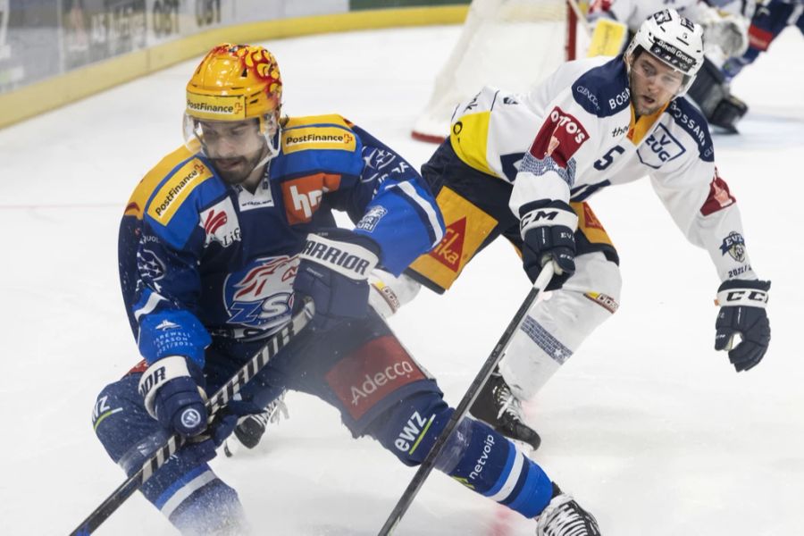 nhl malgin zsc lions