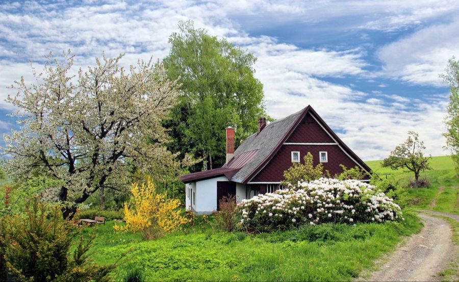 Haus im Grünen