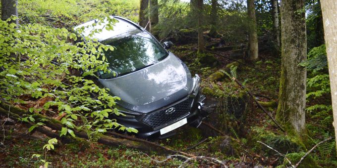 Personenwagen landet in einem Waldstück.