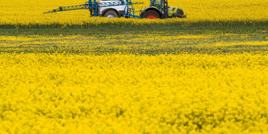 Auch die Erzeugerpreise für landwirtschaftliche Produkte sind zuletzt deutlich gestiegen.