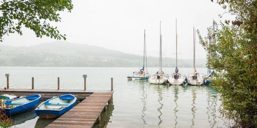 Der Hallwilersee in Meisterschwanden.