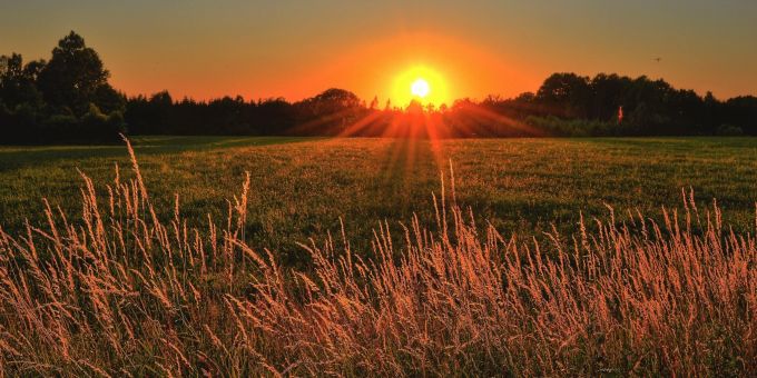 Der Mensch braucht die Sonne damit er Vitamin D produzieren kann. vitamin d