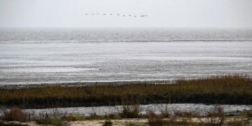 Wattenmeer