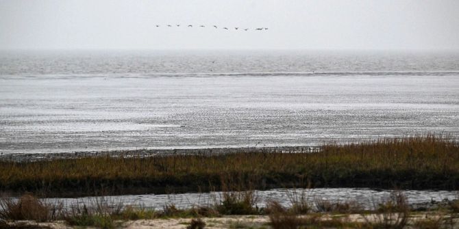 Wattenmeer