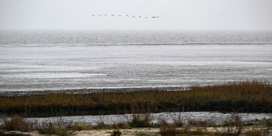 Wattenmeer