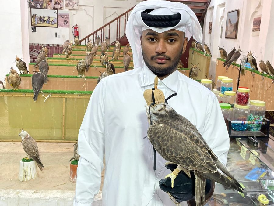 Auf dem Markt in Doha gibt es schöne (und viele) Vogelarten zu bestaunen.