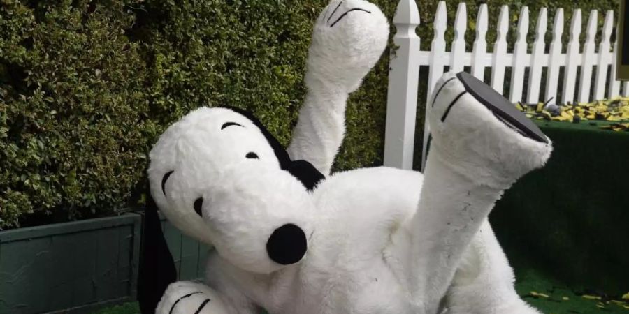 Ein plüschiger Snoopy liegt neben seinem Stern auf dem Hollywood Walk of Fame in Los Angeles. Foto: Mike Nelson/EPA/dpa