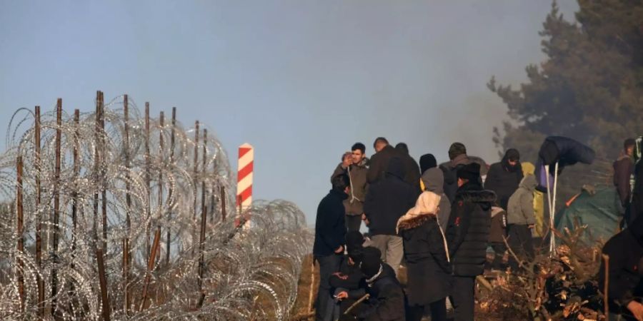 Migranten an der polnisch-belarussischen Grenze