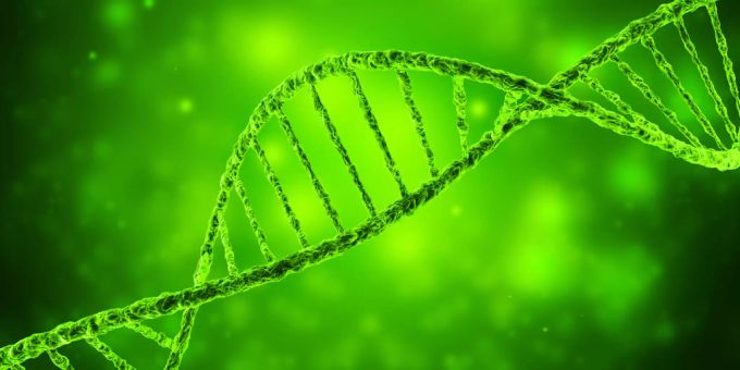 Eine 3D-Illustration eines DNA-Strangs. DNA