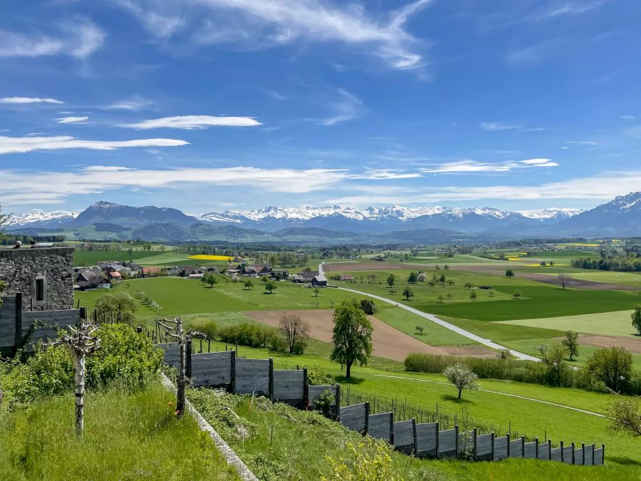 Aussicht über Ballwil in Hohenrain.