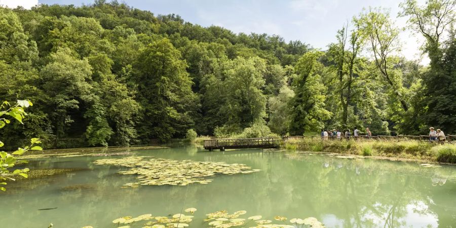 Die Ermitage in Arlesheim (der grösste englische Landschaftsgarten der Schweiz).