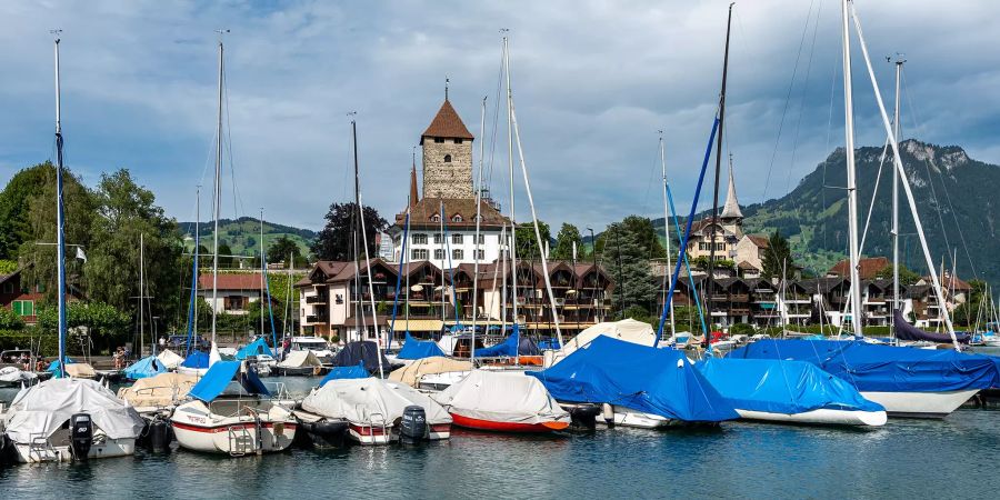 Die Spiezer Bucht mit Segelbooten und im Hintergrund das Schloss Spiez.