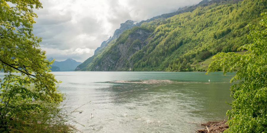 Der Walensee in Walenstadt im Wahlkreis Sarganserland im Kanton St. Gallen.