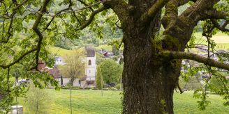 Gemeinde - Läufelfingen: Es gilt Leinenpflicht für Hunde im Wald
