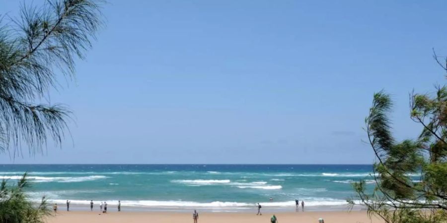 Sommer am Strand von Cape Vidal: Südafrika ist in den europäischen Wintermonaten ein oft gebuchtes Reiseziel. Foto: Michael Zehender/dpa-tmn