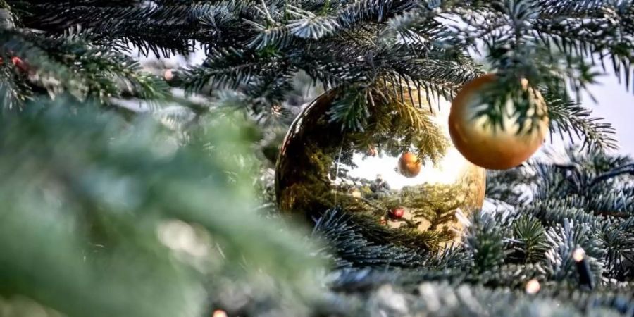 Ein Weihnachtsbaum ist mit Kugeln und einer Lichterkette geschmückt. (Archivbild). Foto: Britta Pedersen/dpa-Zentralbild/ZB