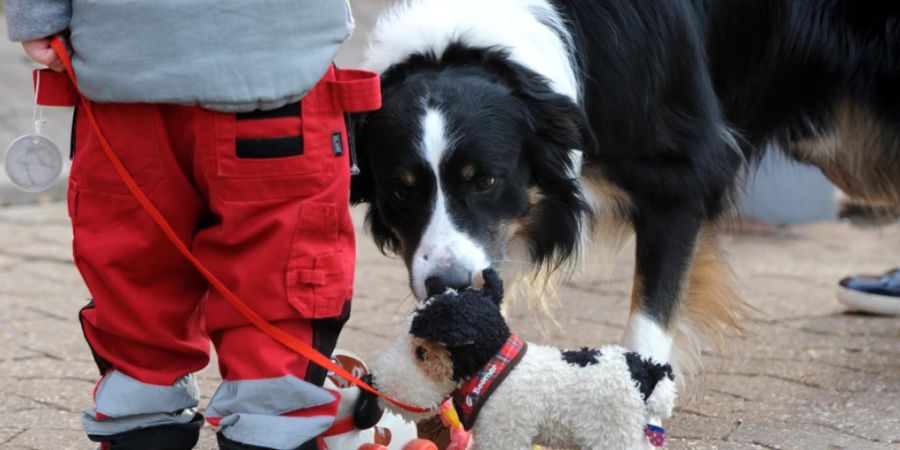 kinder hund bewegung