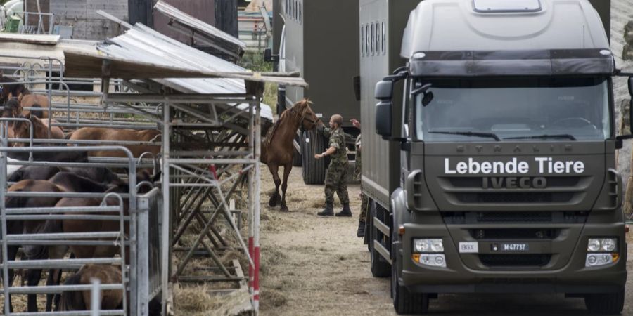 Fall Hefenhofen Pferde Militär