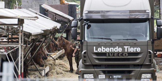 Tierschutz