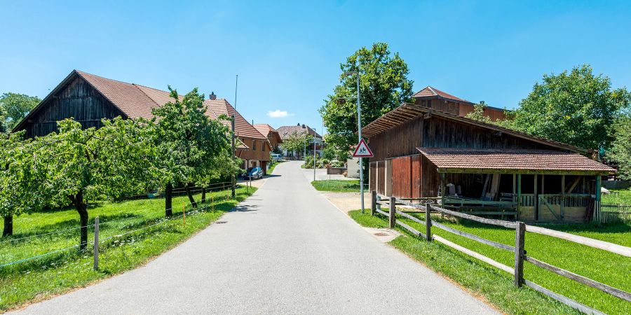 Die Niederbippstrasse in Wolfisberg.