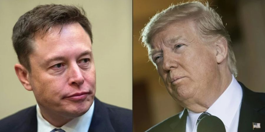 Musk (l.) und Trump