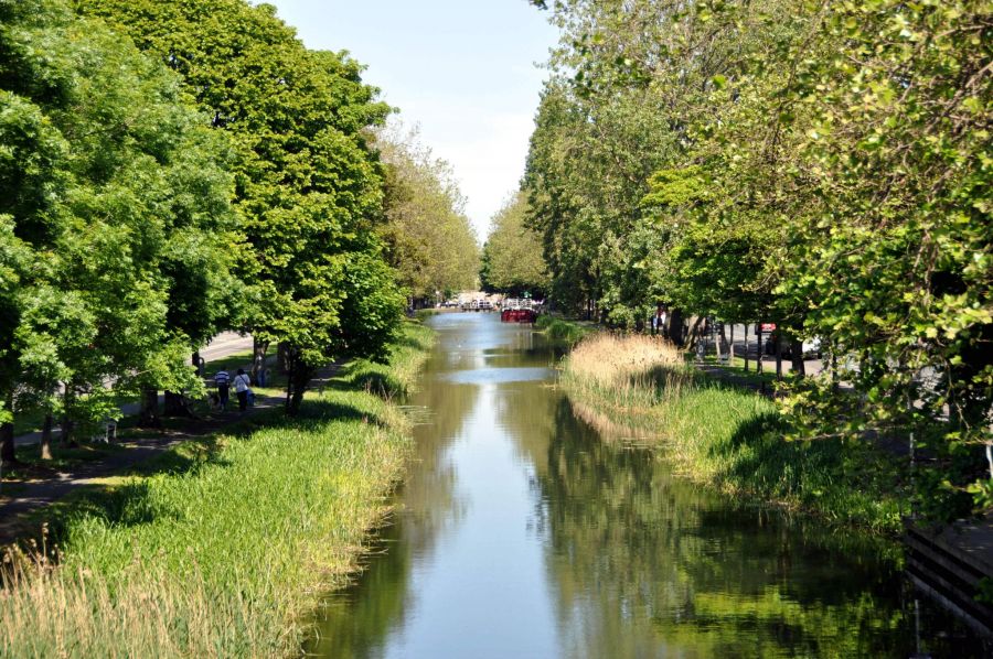 Kanal Promenade Bäume Wasser Ufer Boote