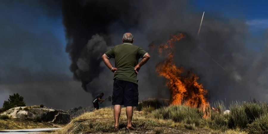 waldbrand wetter