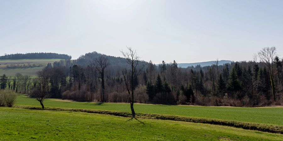 Landschaft bei Worb.