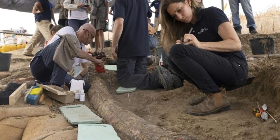 Archäologen am 31. August in Revadim im Süden Israels