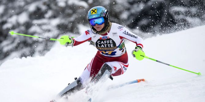 Katharina Gallhuber