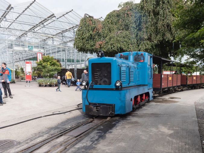Äusserst beliebt sind die Rundfahrten mit der Baumschulbahn.