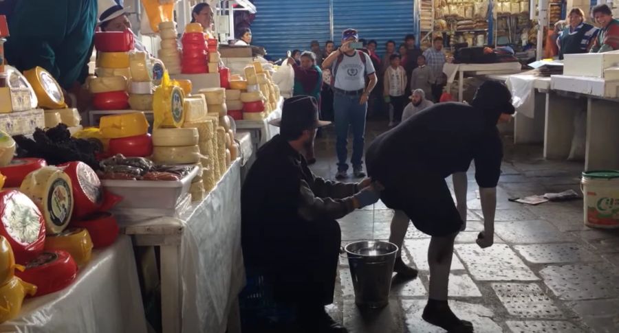 Die «Moutons» in Peru: Bisher ist die Schafsherde 800-mal aufgetreten.